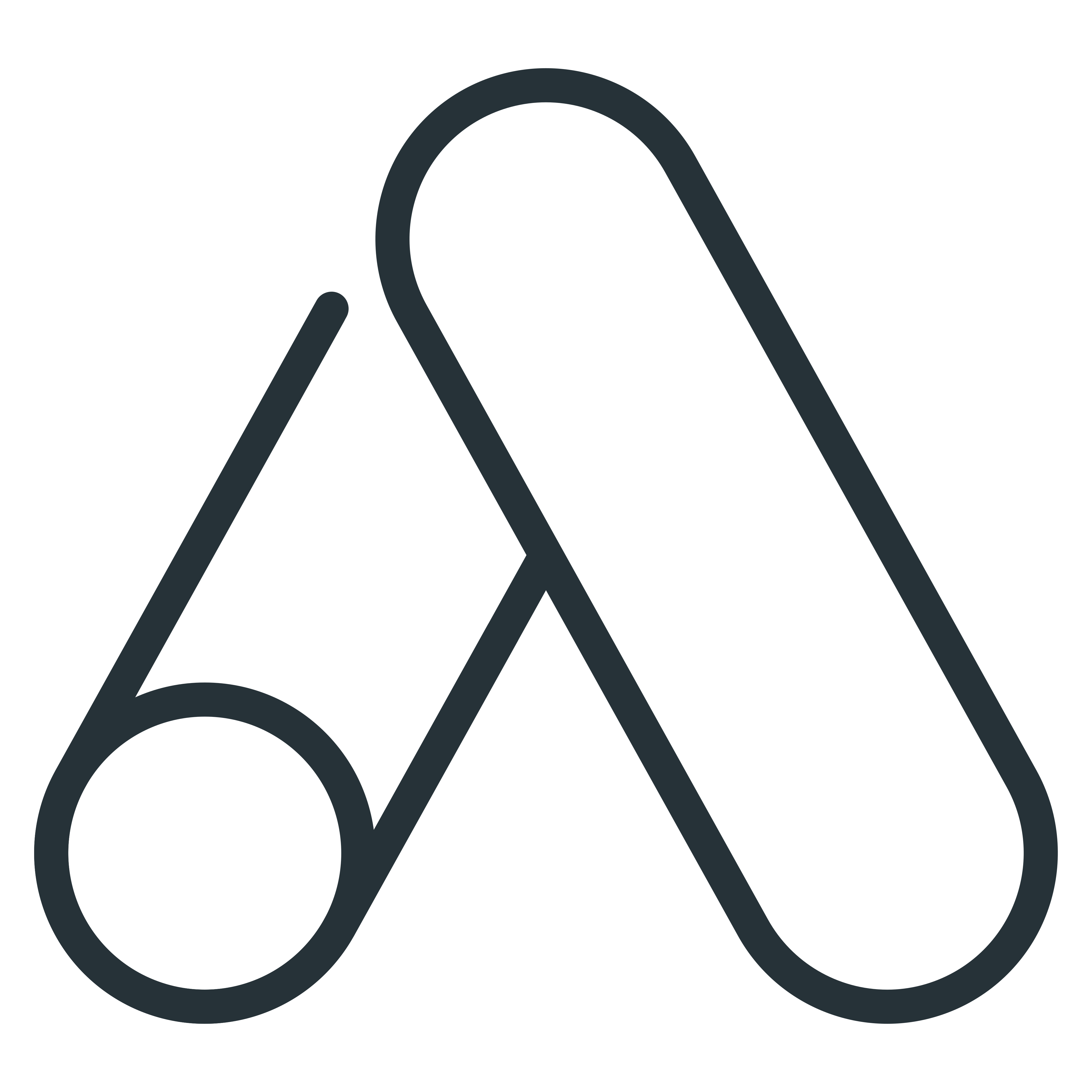 Dynamic Website